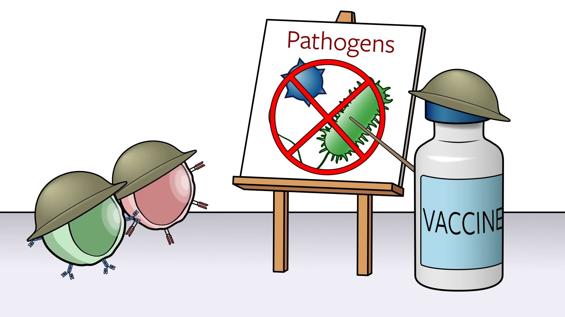 How vaccines work Cornell University College of Veterinary Medicine